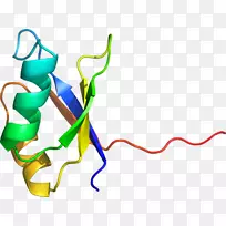 ƽ������ߵ��������-������