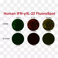 加法数学加入宾夕法尼亚州库茨镇大学水冷却数学-空若网 加法数学加入宾夕法尼亚州库茨镇大学水冷却数学-空若网