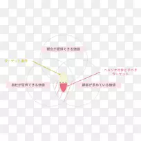 �̱��������-������