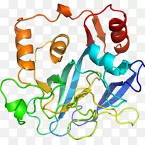 ���������л����߼�������-������