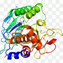 Êß²ËÓлúÌåϵÁмôÌù»-Êß²Ë-¿ÕÈôÍø Êß²ËÓлúÌåϵÁмôÌù»-Êß²Ë-¿ÕÈôÍø