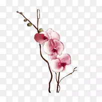 ������Ӱ������-��-������