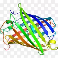 蔬菜线点剪贴画-蔬菜-空若网 蔬菜线点剪贴画-蔬菜-空若网