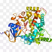 人体首饰有机体线剪贴画线-空若网 人体首饰有机体线剪贴画线-空若网