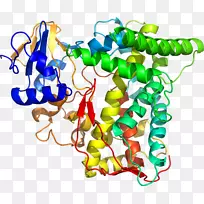 树线剪贴画-树-空若网 树线剪贴画-树-空若网