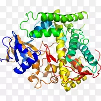 艺术身体珠宝有机体线剪贴画线-空若网 艺术身体珠宝有机体线剪贴画线-空若网