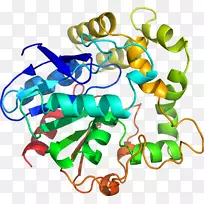 人体首饰有机体线剪贴画线-空若网 人体首饰有机体线剪贴画线-空若网