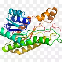 人体首饰有机体线剪贴画线-空若网 人体首饰有机体线剪贴画线-空若网