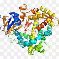 艺术身体珠宝有机体线剪贴画线-空若网 艺术身体珠宝有机体线剪贴画线-空若网
