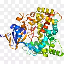 艺术身体珠宝有机体线剪贴画线-空若网 艺术身体珠宝有机体线剪贴画线-空若网