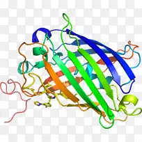 直线点植物茎夹艺术线-空若网 直线点植物茎夹艺术线-空若网