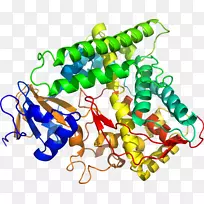 人体首饰有机体线剪贴画线-空若网 人体首饰有机体线剪贴画线-空若网