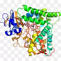 艺术身体珠宝有机体线剪贴画线-空若网 艺术身体珠宝有机体线剪贴画线-空若网