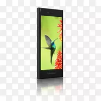 智能手机黑莓跳跃式屏幕保护器-大屏幕手机-空若网 智能手机黑莓跳跃式屏幕保护器-大屏幕手机-空若网