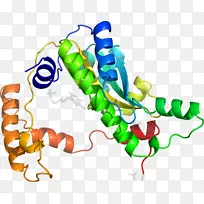 �ߵ������������-������