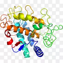 ���������л����߼�������-������