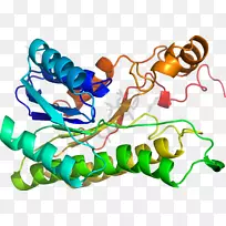 人体首饰有机体线剪贴画线-空若网 人体首饰有机体线剪贴画线-空若网
