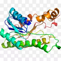 人体首饰有机体线剪贴画线-空若网 人体首饰有机体线剪贴画线-空若网