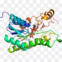 人体首饰有机体线剪贴画线-空若网 人体首饰有机体线剪贴画线-空若网