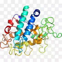 人体珠宝线有机体剪贴画线-空若网 人体珠宝线有机体剪贴画线-空若网