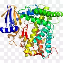 食品首饰系列剪贴画系列-空若网 食品首饰系列剪贴画系列-空若网