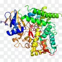 人体首饰有机体线剪贴画线-空若网 人体首饰有机体线剪贴画线-空若网