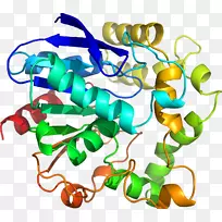 ���������л����߼�������-������