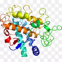 人体首饰有机体线剪贴画线-空若网 人体首饰有机体线剪贴画线-空若网