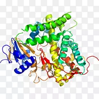人体首饰有机体线剪贴画线-空若网 人体首饰有机体线剪贴画线-空若网