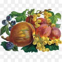 ���������ѻ����ź�ݮ-����-������