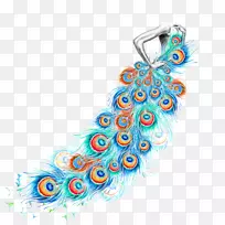 水彩画羽毛设计师-孔雀羽毛-空若网 水彩画羽毛设计师-孔雀羽毛-空若网