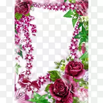 画框拼贴剪贴画.紫色牡丹边框-空若网 画框拼贴剪贴画.紫色牡丹边框-空若网