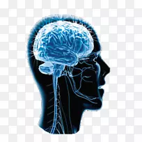 脑工程认知神经科学认知-脑-空若网 脑工程认知神经科学认知-脑-空若网