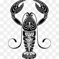 癌症黄道星座占星术金牛座-空若网 癌症黄道星座占星术金牛座-空若网