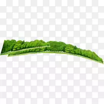 �ݱ�ֲ��Ʒ����-������