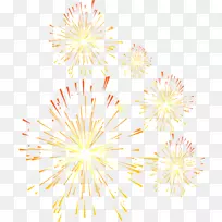 花瓣黄色花纹-节日烟花-空若网 花瓣黄色花纹-节日烟花-空若网