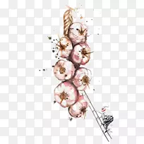 水彩画绘画食品插图.大蒜-空若网 水彩画绘画食品插图.大蒜-空若网