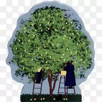 ��-��-������