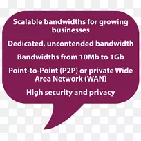 租用线路点对点电信因特网接入.网络安全保证-空若网 租用线路点对点电信因特网接入.网络安全保证-空若网