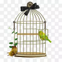 ����-������