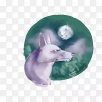 培育意大利灰狗鼻子-莫诺诺克公主-空若网 培育意大利灰狗鼻子-莫诺诺克公主-空若网