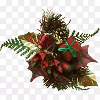 圣诞节点缀叶开花植物-21野人-空若网 圣诞节点缀叶开花植物-21野人-空若网