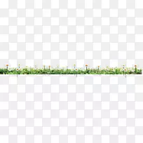 �̲�������-�ݻ�-������