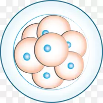 圆点眼夹艺术圈-空若网 圆点眼夹艺术圈-空若网