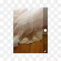 �ذ�ľȾɫ���ܽ��ϰ�-������