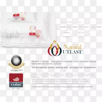 品牌标志字体设计-空若网 品牌标志字体设计-空若网