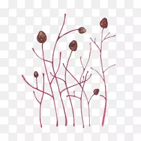 水彩画:花卉水彩画艺术插图-草-空若网 水彩画:花卉水彩画艺术插图-草-空若网