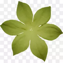 ���ꡤ�ɸ�����-С��-������