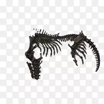 白人-人-空若网 白人-人-空若网