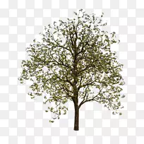 ������ͼ�������-��-������